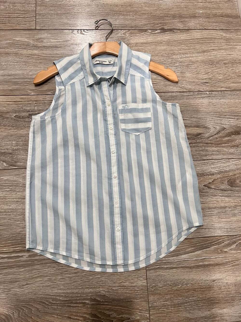 Abercrombie Kids Blue and White Striped Sleeveless Button-Down Shirt